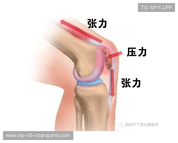 网球赛季伤病数据及预防策略研究